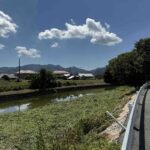 吉敷川定期清掃